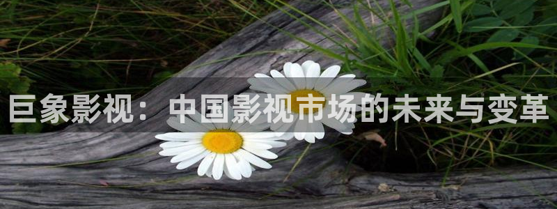 飘零影院在线观看：巨象影视：中国影视市场的未来与变革