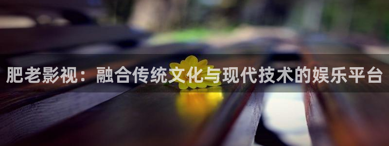 神马影院飘零：肥老影视：融合传统文化与现代技术的娱乐平台