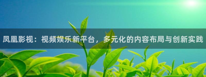 飘零在线电影：凤凰影视：视频娱乐新平台，多元化的内容布局与创新实践