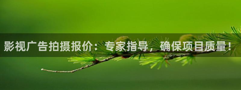 飘零影院暗香影院：影视广告拍摄报价：专家指导，确保项目质量！