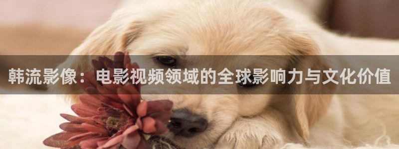 飘零影院不卡：韩流影像：电影视频领域的全球影响力与文化价值