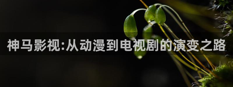 新视觉飘零影院：神马影视:从动漫到电视剧的演变之路