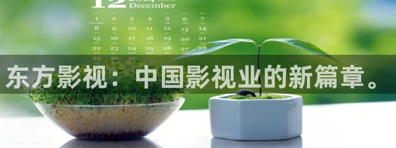 飘零电影p2100：东方影视：中国影视业的新篇章。