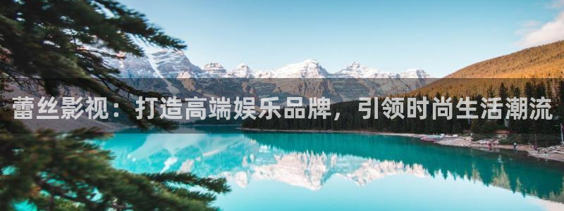 飘零电影在线看免费播放：蕾丝影视：打造高端娱乐品牌，引领时尚生活潮流