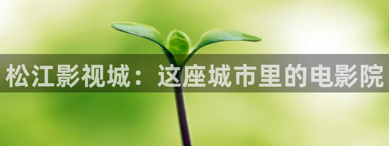 飘零影院网站：松江影视城：这座城市里的电影院