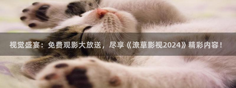 飘零电影网在线观看完整版：视觉盛宴：免费观影大放送，尽享《潦草影视2024》精彩内容！