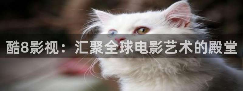 飘零影视全集完整版在线观看：酷8影视：汇聚全球电影艺术的殿堂