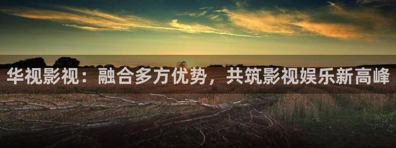 飘零影院最新电影网：华视影视：融合多方优势，共筑影视娱乐新高峰