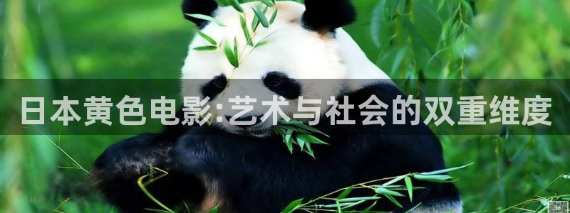 飘零影院下载：日本黄色电影:艺术与社会的双重维度