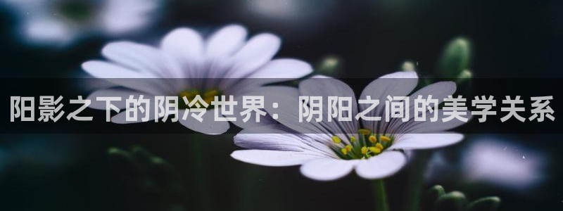 pl2020飘零影院：阳影之下的阴冷世界：阴阳之间的美学关系