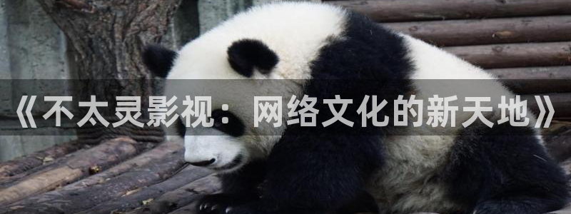 飘零午夜电影网：《不太灵影视：网络文化的新天地》